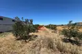 Land  Novosele, Albania