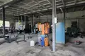 Shop 500 m² in Janikowo, Poland