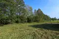 House 47 m² Harodzki, Belarus