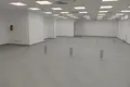 Commercial property 460 m² in Maladzyechna, Belarus