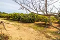 4-Schlafzimmer-Villa 440 m² Pechao, Portugal