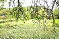 Haus 53 m² Kalodziscanski sielski Saviet, Belarus