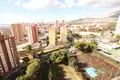 Studio apartment 1 bedroom 30 m² Benidorm, Spain