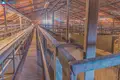 Коммерческое помещение 1 118 м² Барздай, Литва