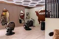 Lokal użytkowy 34 m² z najemcą i dochodem 5,5% rocznie — Jáchymov, Czechy