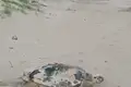 Parcelas  Regiao Geografica Imediata de Salvador, Brasil