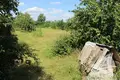 Земельные участки 42 м² Чернинский сельский Совет, Беларусь