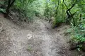 Land 3 409 m² Visegrad, Hungary