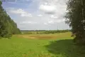 Atterrir  Zarasai, Lituanie