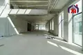 Propiedad comercial 847 m² en Minsk, Belarús