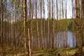 Parcelas  Southern Savonia, Finlandia