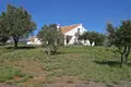 Haus 4 Schlafzimmer 350 m² Artola, Spanien