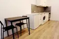 Wohnung 1 zimmer 25 m² in Krakau, Polen