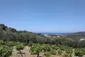 Parcelas  Polemarchi, Grecia