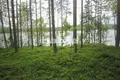Земельные участки  Луханка, Финляндия