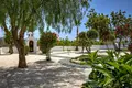 Casa 5 habitaciones 278 m² Kouklia, Chipre