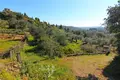 Land 1 room 4 100 m² Pelekas, Greece