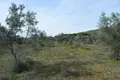 Land 5 980 m² Peloponnese Region, Greece