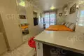 1 room apartment 25 m², All countries