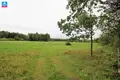 Land  Gulbiniskiai, Lithuania