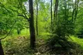 Działki  Degucie, Litwa