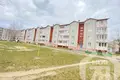 Квартира 1 комната 41 м² Углы, Беларусь