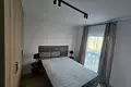 Wohnung 2 Zimmer 43 m² in Lentschitza, Polen