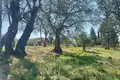 Земельные участки 1 комната  Кира Хрисикоу/Паная Кира Той Хрисикоу, Греция