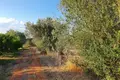 Land 8 381 m² Peloponnese Region, Greece