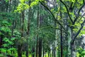 Dom 77 m² Kalodziscanski sielski Saviet, Białoruś