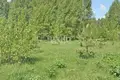 Дом 96 м² Городецкий муниципальный округ, Россия