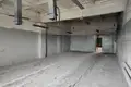 Produktion 1 285 m² in Zarecca, Belarus