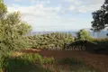 Land 13 800 m² Paliouri, Greece