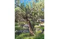 Land 10 970 m² Mirca, Croatia