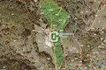 Land  Kolasin, Montenegro