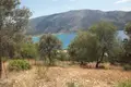 Land 1 room 4 142 m² Plataria, Greece