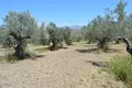 Land 3 120 m² Peloponnese Region, Greece