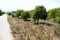 Land 8 500 m² Peloponnese Region, Greece