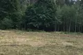 Mieszkanie 2 pokoi 56 m² Mińsk, Białoruś