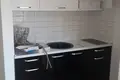 Apartamento 1 habitacion 45 m² en Budva, Montenegro