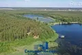 Коммерческое помещение 300 м² Швабский сельский Совет, Беларусь