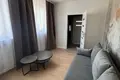 1 room apartment 25 m² in Krakow, Poland