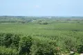 Земельные участки  Тхаланг, Таиланд