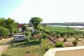 Cottage 6 bedrooms 400 m² Dionisiou Beach, Greece