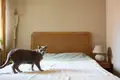 3 room apartment 73 m² Krakow, Poland