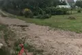 Parcelas  Rakauski sielski Saviet, Belarús