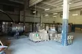 Manufacture 753 m² in Dziescanski sielski Saviet, Belarus