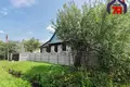 House 89 m² Sluck, Belarus