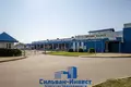 Propriété commerciale 10 810 m² à Homiel, Biélorussie