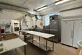 Manufacture 200 m² in Minsk, Belarus